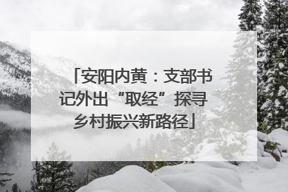 安阳内黄：支部书记外出“取经”探寻乡村振兴新路径