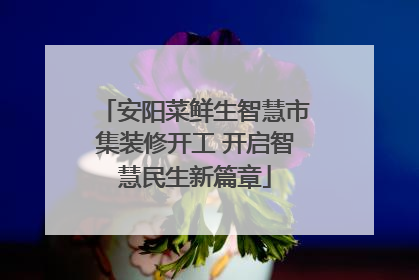 安阳菜鲜生智慧市集装修开工 开启智慧民生新篇章