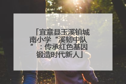 宜章县玉溪镇城南小学“溪韧中队”：传承红色基因 锻造时代新人