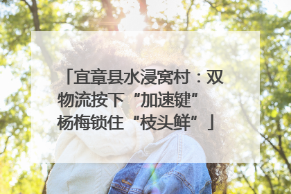宜章县水浸窝村：双物流按下“加速键” 杨梅锁住“枝头鲜”