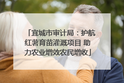 宜城市审计局：护航红薯育苗灌溉项目 助力农业增效农民增收