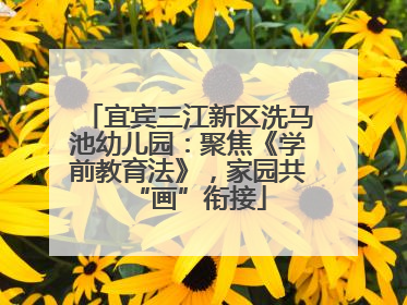 宜宾三江新区洗马池幼儿园：聚焦《学前教育法》，家园共“画”衔接