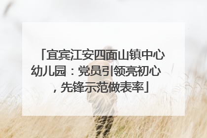 宜宾江安四面山镇中心幼儿园：党员引领亮初心，先锋示范做表率