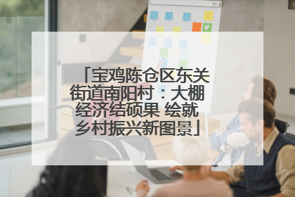 宝鸡陈仓区东关街道南阳村：大棚经济结硕果 绘就乡村振兴新图景