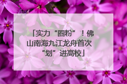 实力“圈粉”！佛山南海九江龙舟首次“划”进高校