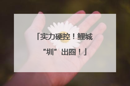 实力硬控！鲤城“圳”出圈！