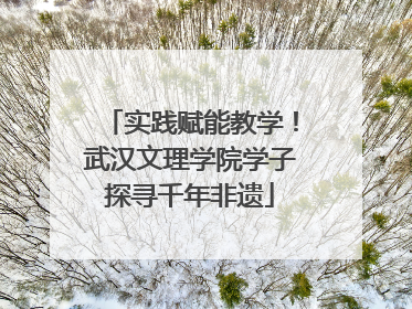 实践赋能教学！武汉文理学院学子探寻千年非遗