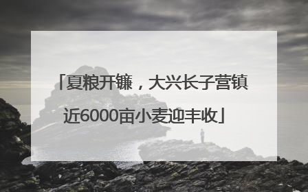 夏粮开镰，大兴长子营镇近6000亩小麦迎丰收