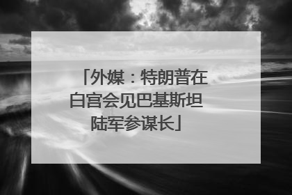 外媒：特朗普在白宫会见巴基斯坦陆军参谋长
