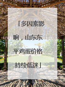 多因素影响，山东东平鸡蛋价格持续低迷