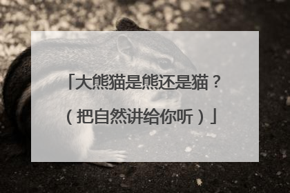 大熊猫是熊还是猫？（把自然讲给你听）