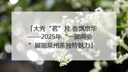 大秀“茗”片 香飘京华——2025年“一展两会”展现泉州茶独特魅力
