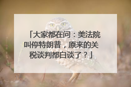 大家都在问：美法院叫停特朗普，原来的关税谈判都白谈了？