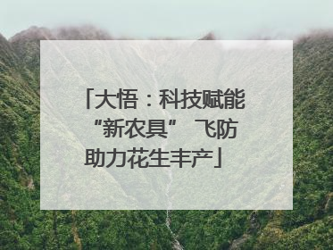大悟：科技赋能“新农具” 飞防助力花生丰产