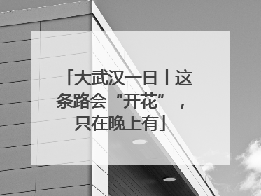 大武汉一日丨这条路会“开花”，只在晚上有