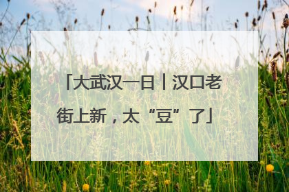 大武汉一日︱汉口老街上新，太“豆”了
