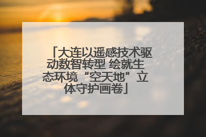 大连以遥感技术驱动数智转型 绘就生态环境“空天地”立体守护画卷