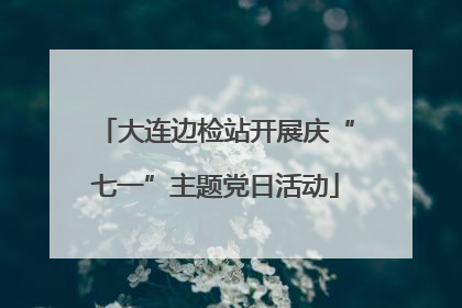 大连边检站开展庆“七一”主题党日活动