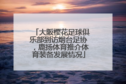 大阪樱花足球俱乐部到访烟台足协，鹿扬体育推介体育装备发展情况
