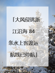 大风侵扰浙江沿海 84条水上客渡运航线已停航