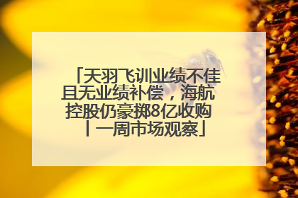天羽飞训业绩不佳且无业绩补偿，海航控股仍豪掷8亿收购丨一周市场观察
