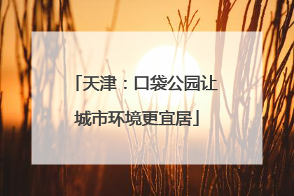天津：口袋公园让城市环境更宜居