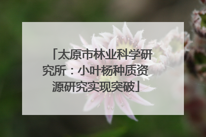 太原市林业科学研究所：小叶杨种质资源研究实现突破