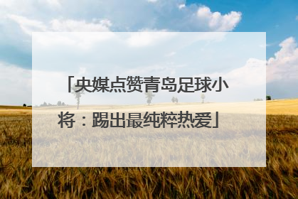 央媒点赞青岛足球小将：踢出最纯粹热爱