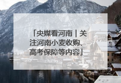 央媒看河南｜关注河南小麦收购、高考保障等内容