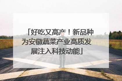 好吃又高产！新品种为安徽蔬菜产业高质发展注入科技动能