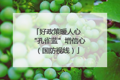 好政策暖人心 “孔雀蓝”增信心（国防视线）