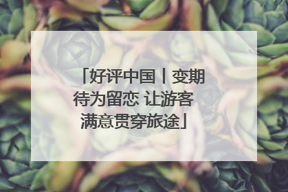 好评中国丨变期待为留恋 让游客满意贯穿旅途