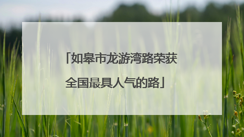 如皋市龙游湾路荣获全国最具人气的路