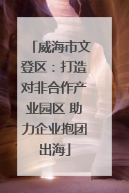 威海市文登区：打造对非合作产业园区 助力企业抱团出海