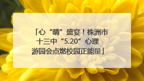 心“晴”盛宴！株洲市十三中“5.20”心理游园会点燃校园正能量