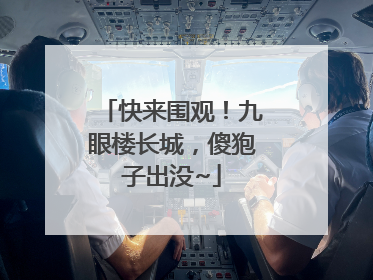 快来围观！九眼楼长城，傻狍子出没~