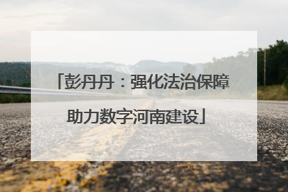 彭丹丹：强化法治保障 助力数字河南建设