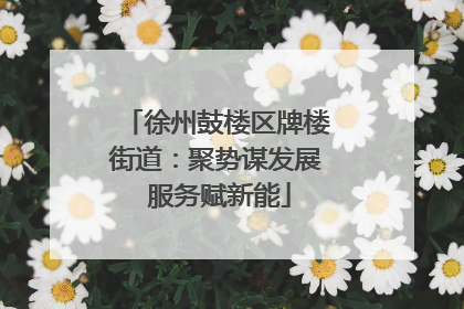 徐州鼓楼区牌楼街道：聚势谋发展 服务赋新能