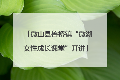 微山县鲁桥镇“微湖女性成长课堂”开讲