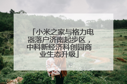 小米之家与格力电器落户济南起步区，中科新经济科创园商业生态升级