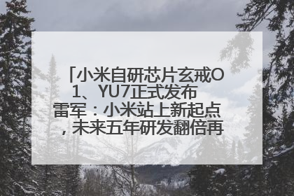 小米自研芯片玄戒O1、YU7正式发布 雷军：小米站上新起点，未来五年研发翻倍再投2000亿元