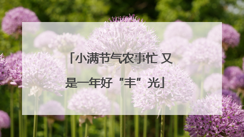 小满节气农事忙 又是一年好“丰”光