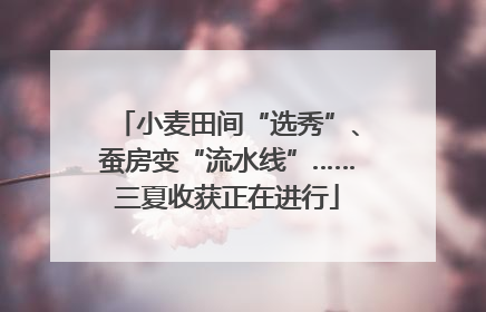 小麦田间“选秀”、蚕房变“流水线”……三夏收获正在进行