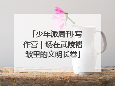 少年派周刊·写作营｜绣在武陵褶皱里的文明长卷