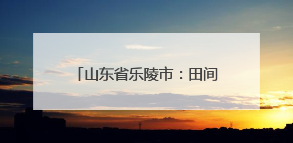 山东省乐陵市：田间地头 全市植保无人机劳动竞赛精彩纷呈