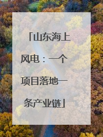 山东海上风电：一个项目落地一条产业链