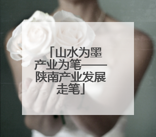 山水为墨 产业为笔——陕南产业发展走笔