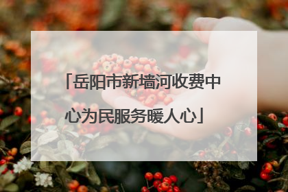 岳阳市新墙河收费中心为民服务暖人心