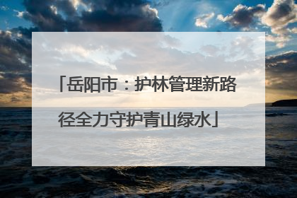 岳阳市：护林管理新路径全力守护青山绿水