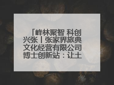 峰林聚智 科创兴张丨张家界旅典文化经营有限公司博士创新站：让土家织锦“智”造出非遗新传奇